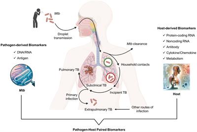 Integrating pathogen- and host-derived blood biomarkers for enhanced tuberculosis diagnosis: a comprehensive review